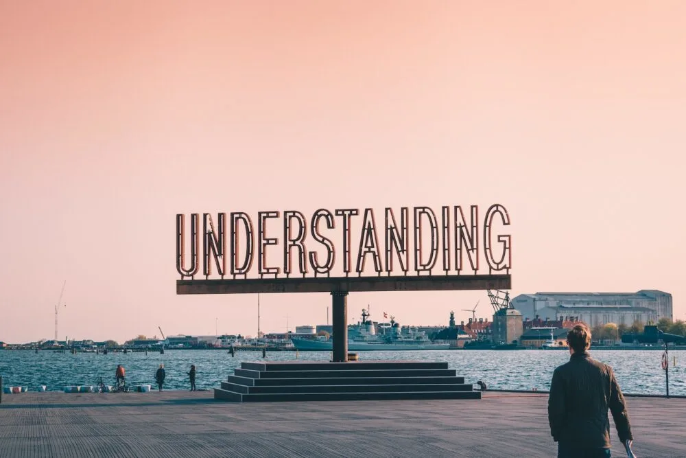 understanding an avoidant